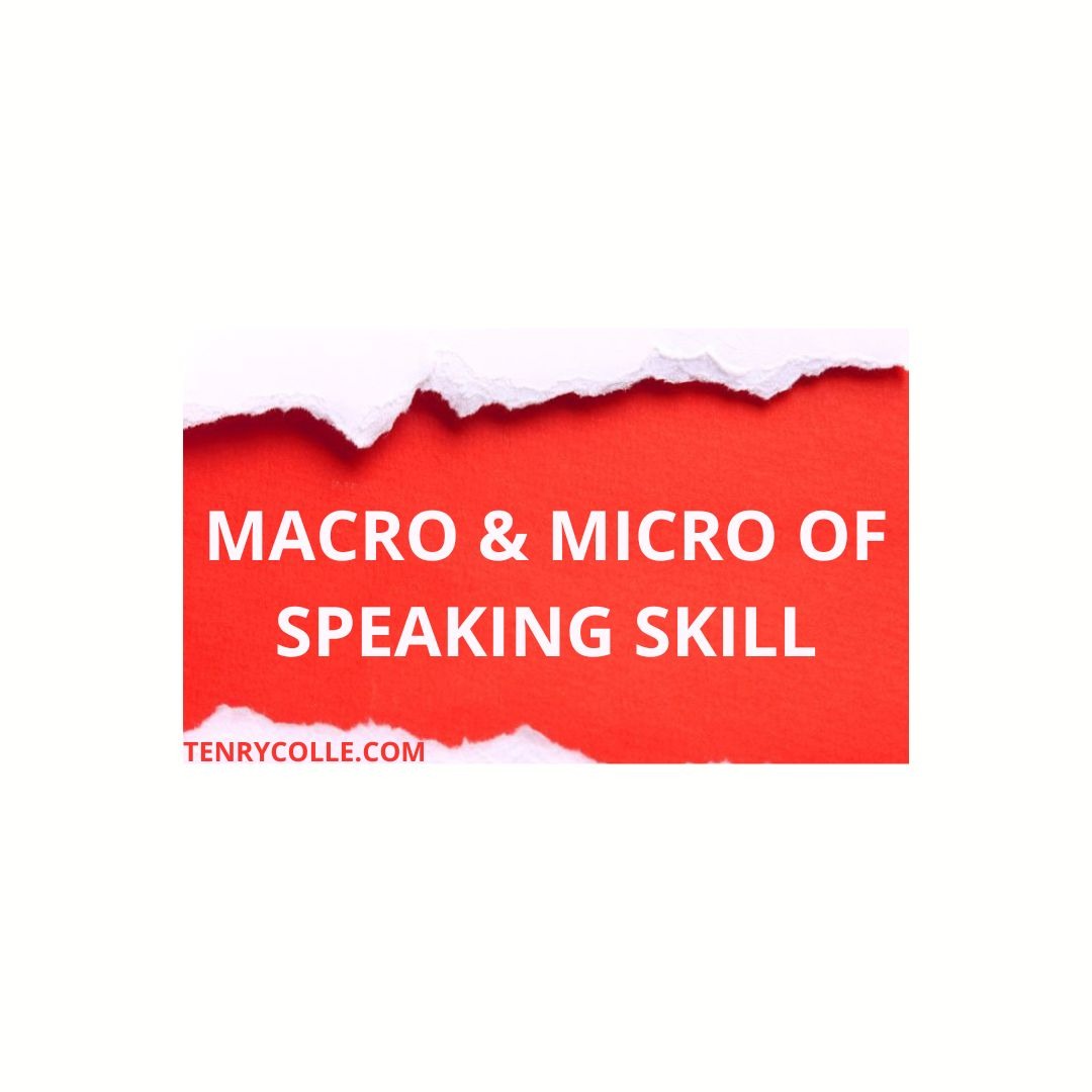 macro and micro of speaking skill