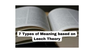 7 Types of Meaning based on Leech Theory